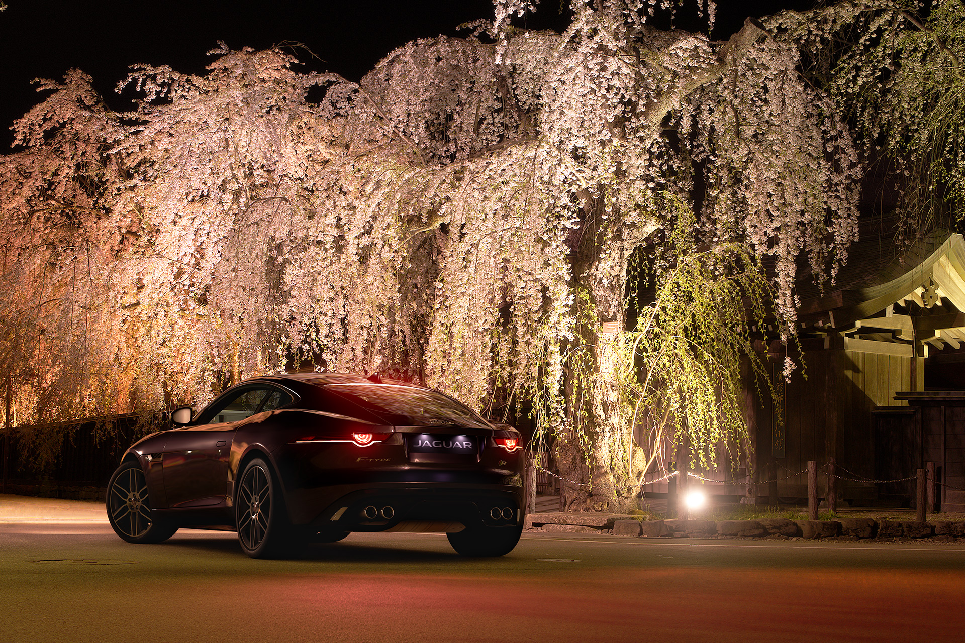 Sports Cars